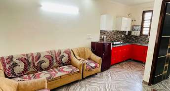 1 BHK Apartment For Resale in Sector 117 Mohali 5894085