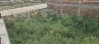 Plot For Resale in Tilpata Karanwas Greater Noida  5895181