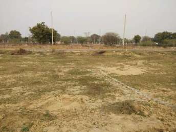  Plot For Resale in Junpat Village Greater Noida 5895570