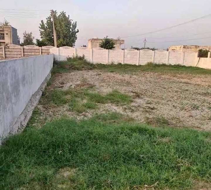 Farmhouse Available Sultanpur To Aiims Road Gurgaon