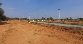 Commercial Land 350 Sq.Yd. For Resale In Kalwakurthy Hyderabad 5897859