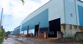 Commercial Warehouse 85000 Sq.Ft. For Rent In Dhulagori Kolkata 5898682