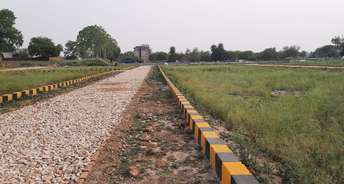  Plot For Resale in Faizabad Road Lucknow 5898761