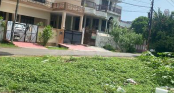  Plot For Resale in Green Wood City Sector 45 Gurgaon 5898783