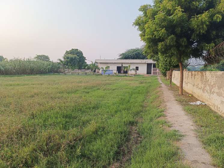 Farm Houses In Faridabad