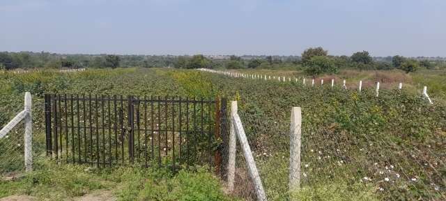 Commercial Land 2 Acre in Sadashivpet Hyderabad