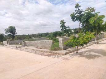  Plot For Resale in Anekal Bangalore 5901225