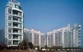 5 BHK Apartment For Resale in DLF The Aralias Dlf Phase V Gurgaon 5902696