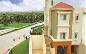 5 BHK Villa For Resale in Pride Purple Diamond Park Wakad Pune 5903465