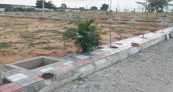  Plot For Resale in Digwal Hyderabad 5904310