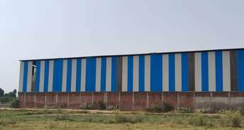Commercial Industrial Plot 2400 Sq.Yd. For Resale In Krishna Colony Karnal 5906853