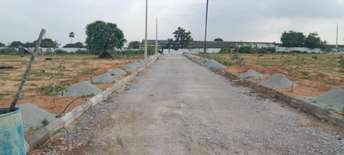 Plot For Resale in Boduppal Hyderabad 5905982
