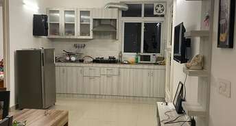 1 BHK Apartment For Resale in Tulip Lemon Sector 69 Gurgaon 5906121