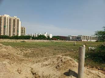  Plot For Resale in Sector 80 Faridabad 5908236