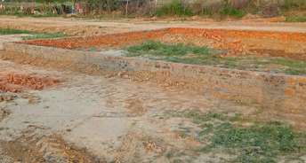  Plot For Resale in RWA Apartments Sector 20 Sector 20 Noida 5910454