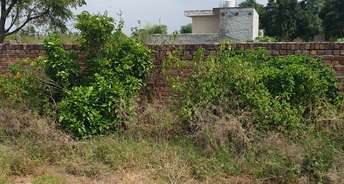 Commercial Land 3000 Sq.Yd. For Resale In Ludhiana Ludhiana 5911105