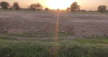 Commercial Industrial Plot 26000 Sq.Yd. For Resale In Kadi Ahmedabad 5912211