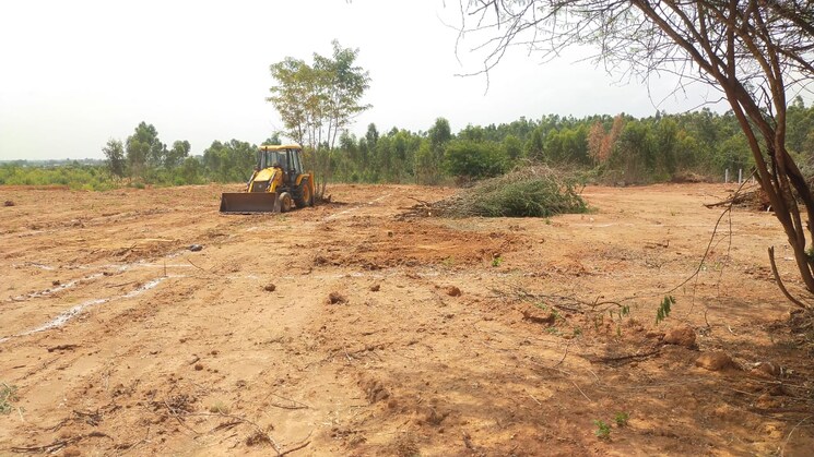 undefined, jangamakote  1200 Sq.Ft. Plot In Jangamakote Bangalore 5915250