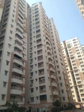 3 BHK Apartment For Resale in Pragathi Nagar Hyderabad 5917026