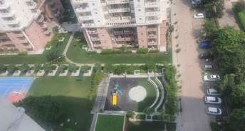 4 BHK Penthouse For Resale in Neharpar Faridabad 5918213