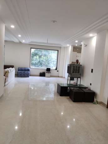3 BHK Builder Floor For Resale in Chittaranjan Park Delhi  5919196