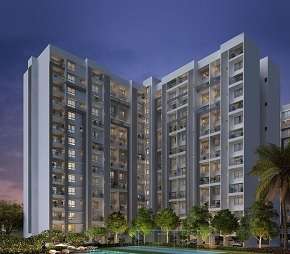 3 BHK Apartment For Resale in Gera World of Joy Kharadi Pune 5920512