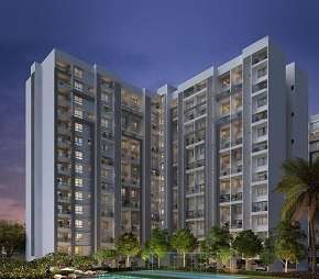 3.5 BHK Apartment For Resale in Gera World of Joy Kharadi Pune 5920573