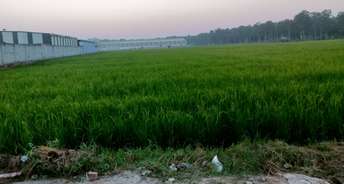 Commercial Land 7 Acre For Resale In Assan Kalan Panipat 5923990