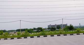 Commercial Land 250 Sq.Yd. For Resale In Kundli Sonipat 5924515