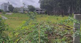 Commercial Land 2 Acre For Resale In Kommasandra Bangalore 5925891