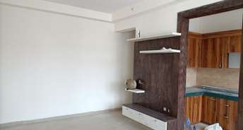 5 BHK Independent House For Resale in Gn Sector pi Greater Noida 5926121