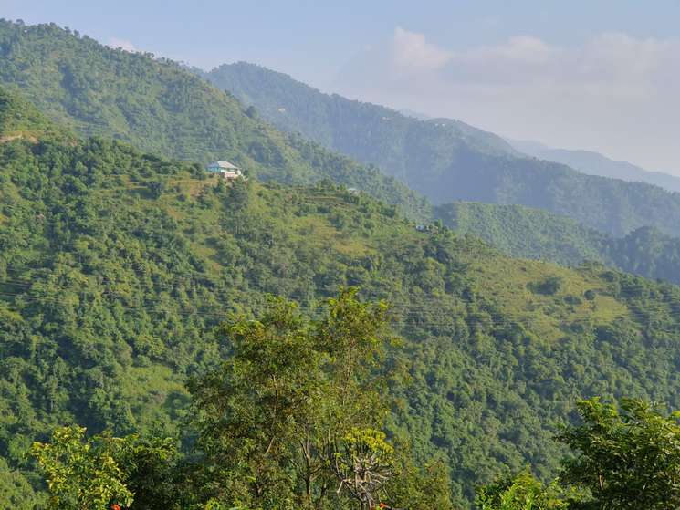 Kasauli Hills