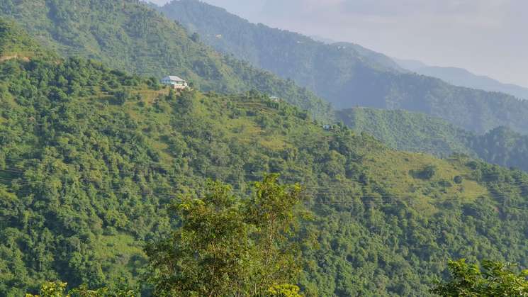 Kasauli Hills