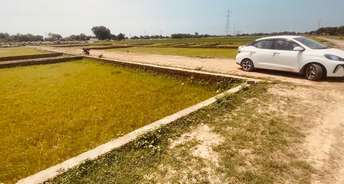 Plot For Resale in Sector 28 Panchkula 5927215