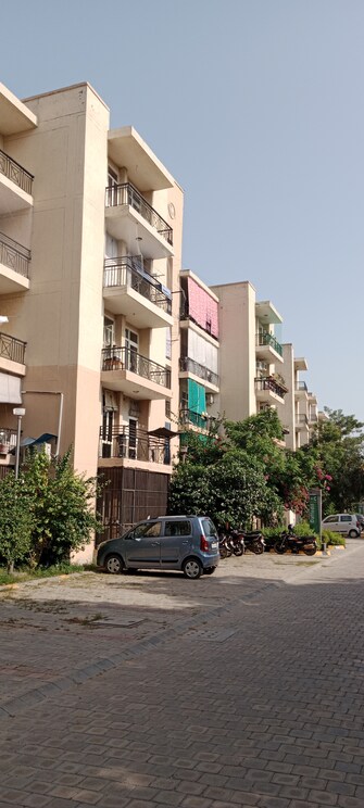 3 BHK Builder Floor For Resale in Omaxe Green Meadow City Alwar Bypass Road Bhiwadi  5927768