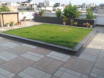 3 BHK Builder Floor For Rent in Defence Colony Villas Defence Colony Delhi 5928485