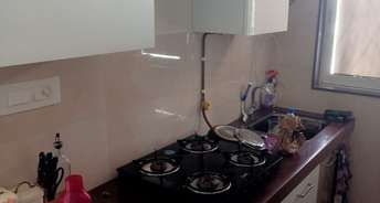 1 BHK Apartment For Resale in MK Gabino Andheri West Mumbai 5928728