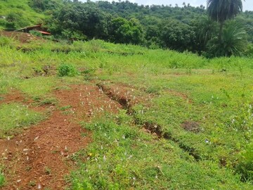  Plot – Exterior View View at Dapoli - for Sale