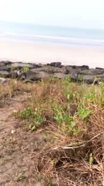  Plot – Nearby View at Dapoli - for Sale
