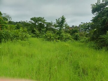  Plot – Nearby View at Dapoli - for Sale
