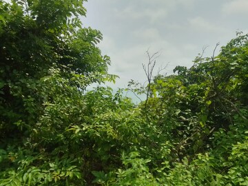  Plot – Nearby View at Dapoli - for Sale