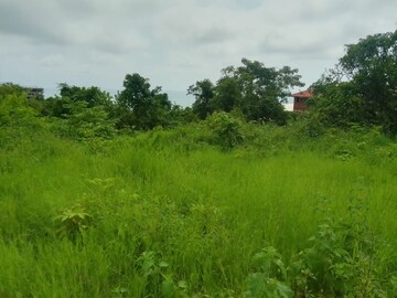  Plot – Nearby View at Dapoli - for Sale