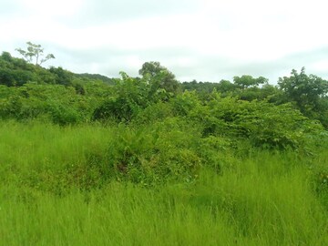  Plot – Nearby View at Dapoli - for Sale