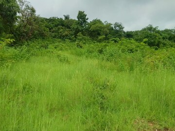  Plot – Nearby View at Dapoli - for Sale