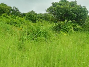  Plot – Nearby View at Dapoli - for Sale