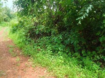  Plot – Nearby View at Dapoli - for Sale