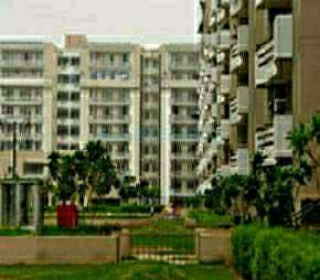 3 BHK Apartment For Resale in SVP Gulmohur Greens Rajendra Nagar Ghaziabad 5931618