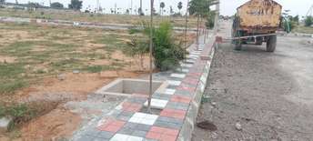  Plot For Resale in Nagsanpally Hyderabad 5932780