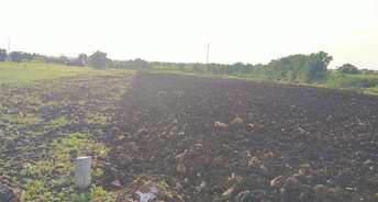  Plot For Resale in Kukatpally Hyderabad 5933027