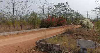  Plot For Resale in Sai Nikita Brundavanam Bhongiri Warangal Highway Hyderabad 5934062